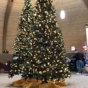 Meet your Posher, Brayden